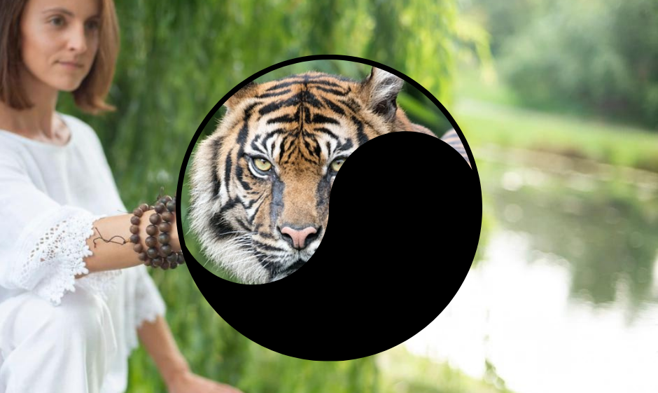 tiger peaking from under Yin Yang symbol